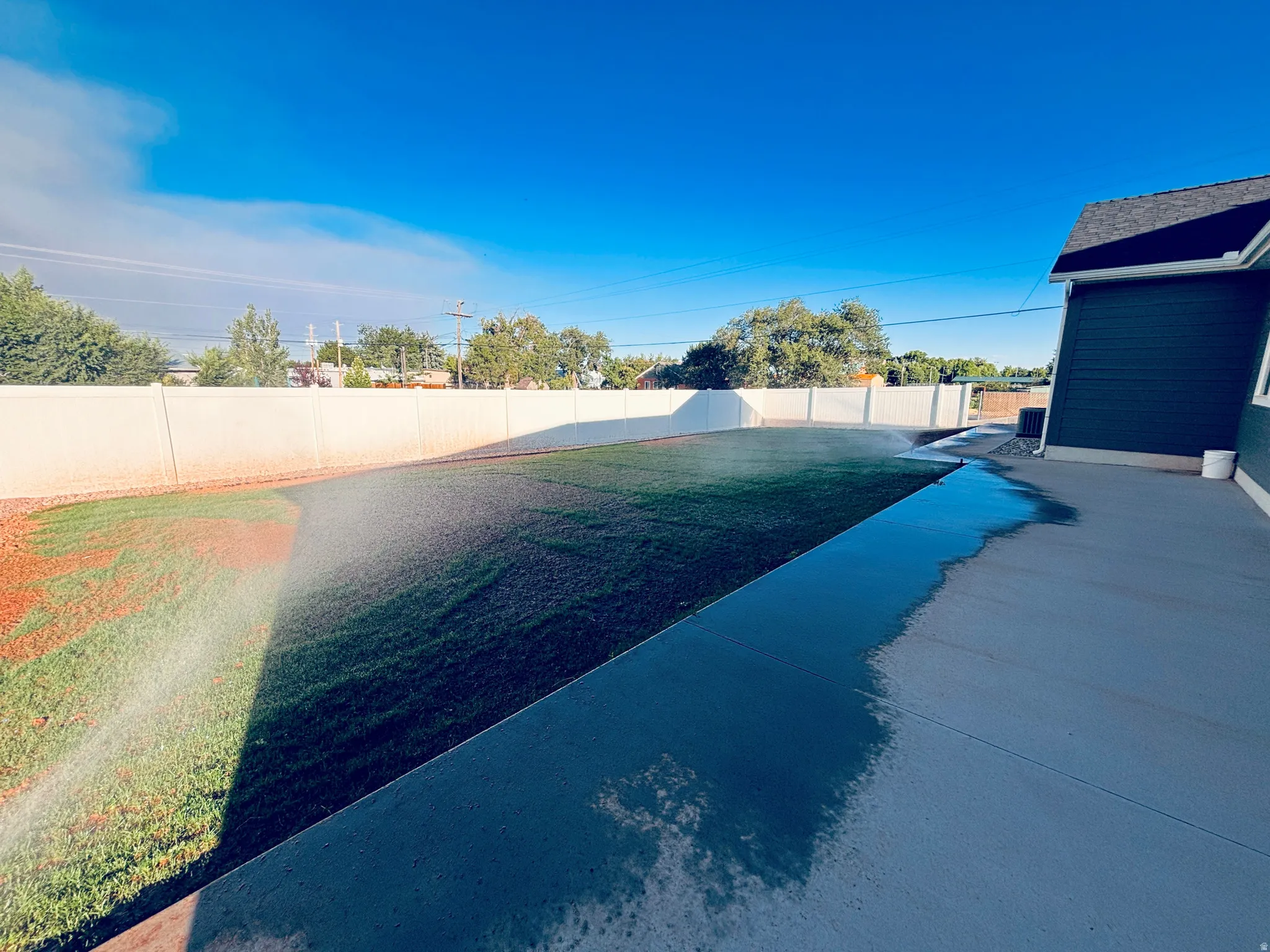 New Grass - thicker and greener every day.