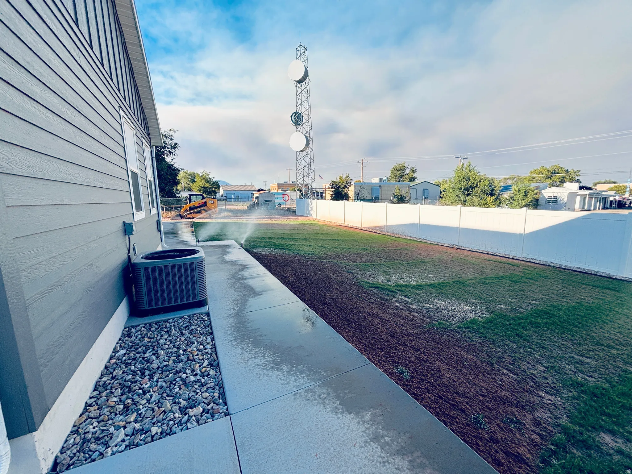 New Grass - thicker and greener every day.