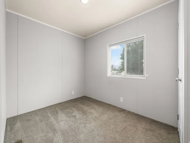 Carpeted room with light gray walls, a single window featuring blinds, a white door, and a ceiling-mounted light fixture