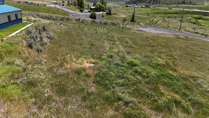 Expansive grassy terrain with scattered sagebrush