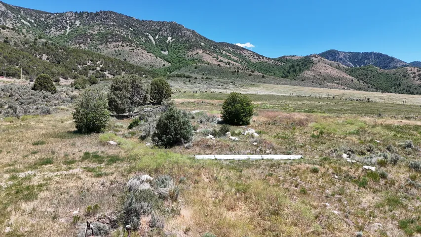 Expansive undeveloped land featuring natural vegetation and distant mountain ranges