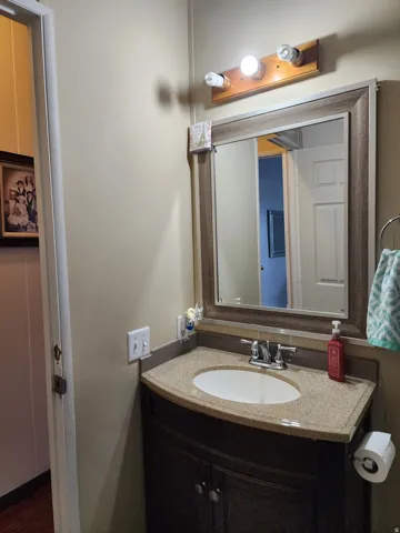 Bathroom vanity featuring an integrated oval sink, granite-style countertop, and a dark wood-finish cabinet with double doors