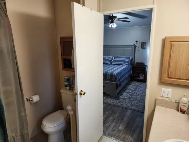 Bathroom area featuring a white toilet, light-toned countertop, and light wood-finish cabinetry