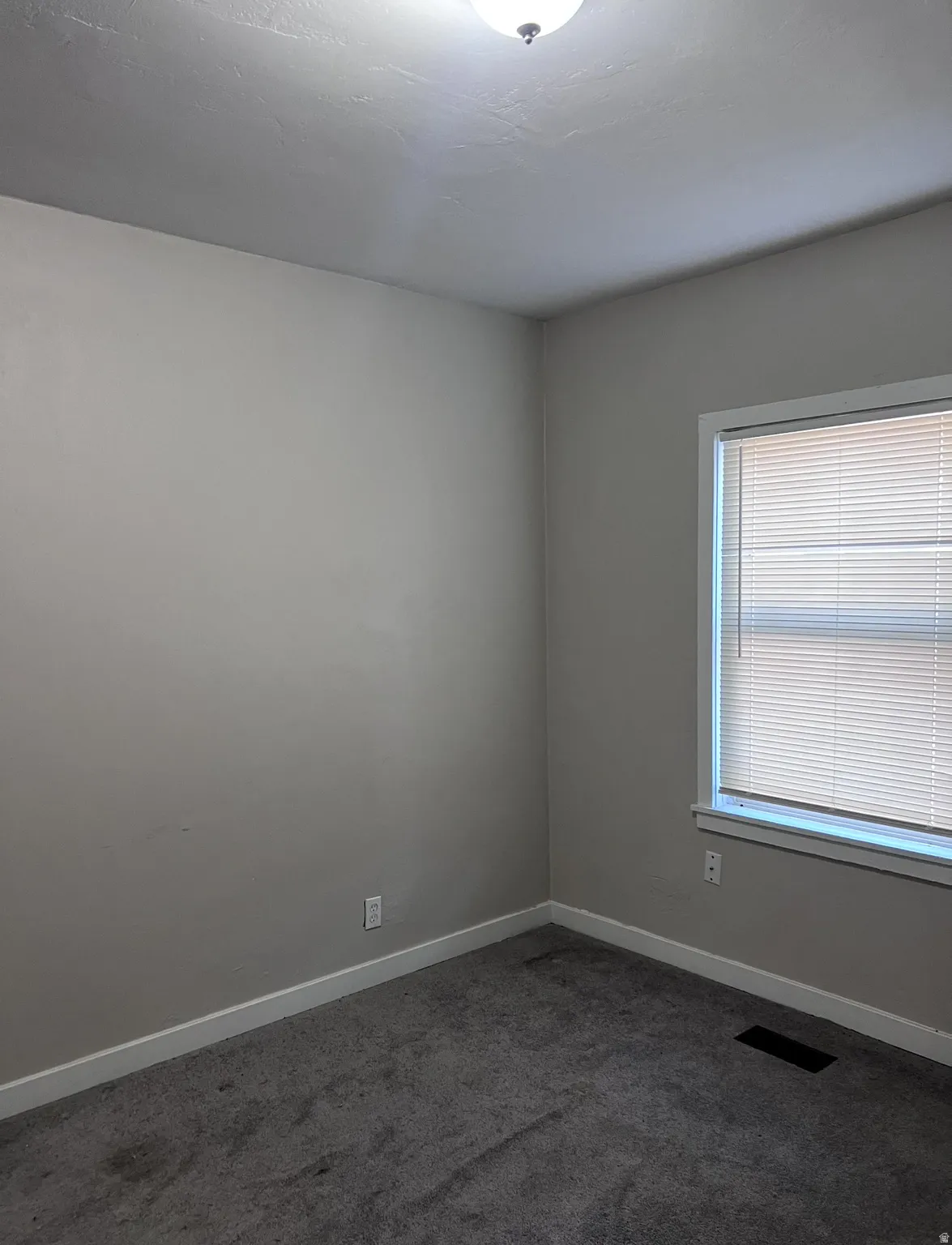Neutral-toned room featuring a single window with blinds, ceiling-mounted light fixture, and gray carpeting