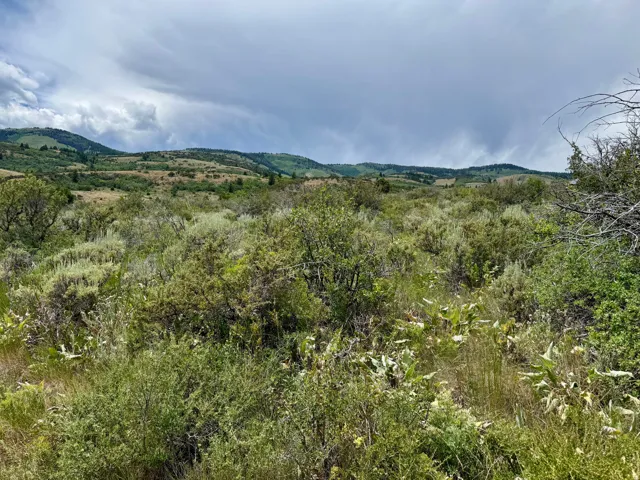 Expansive natural landscape featuring rolling hills, varied vegetation, and distant tree lines under a cloudy sky