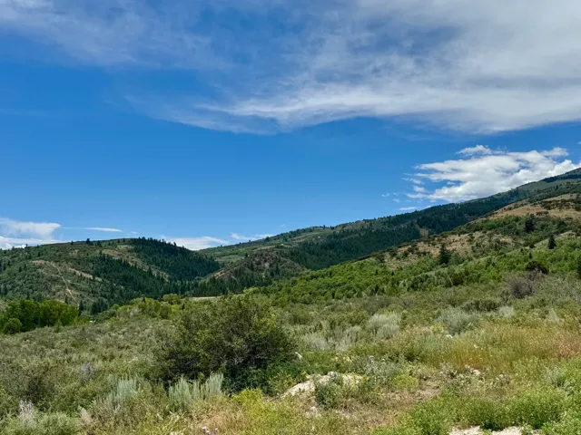 Mountainous terrain featuring diverse vegetation under a clear blue sky