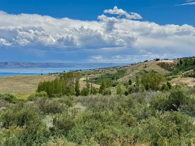 Expansive property offering a substantial land area with established vegetation
