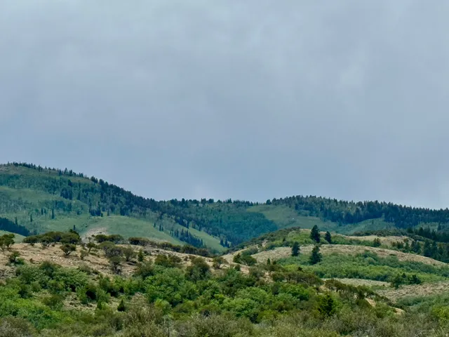 Expansive mountain landscape featuring varied vegetation, including mature trees and dense foliage across rolling hills