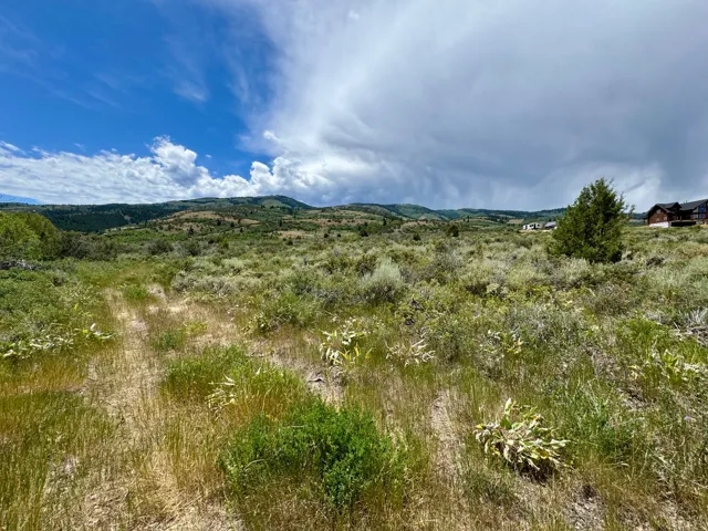 Expansive undeveloped land featuring natural vegetation and rolling hills