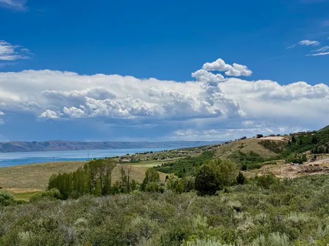 Expansive landscape featuring a large body of water, distant hills, and diverse natural vegetation
