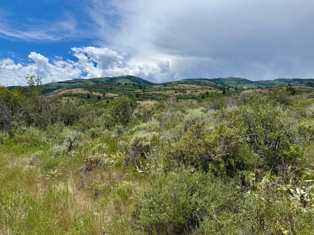 Expansive natural landscape featuring rolling hills and varied vegetation