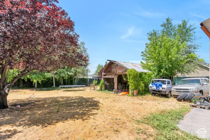 Expansive backyard