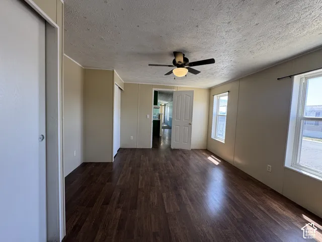 Spacious interior room featuring wood-finish flooring, two windows with white trim, a ceiling fan with light fixture, and two built-in closet doors