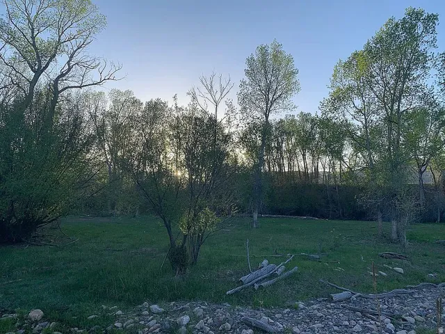 NW view from creek