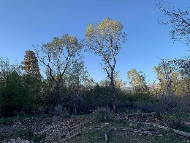 865 S Bullion Canyon Rd, Marysvale, Utah 84750