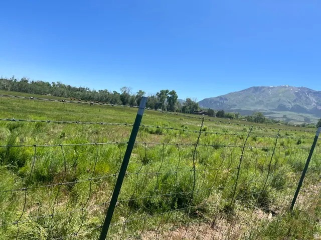 865 S Bullion Canyon Rd, Marysvale, Utah 84750