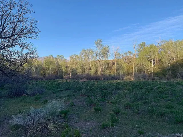 South of creek