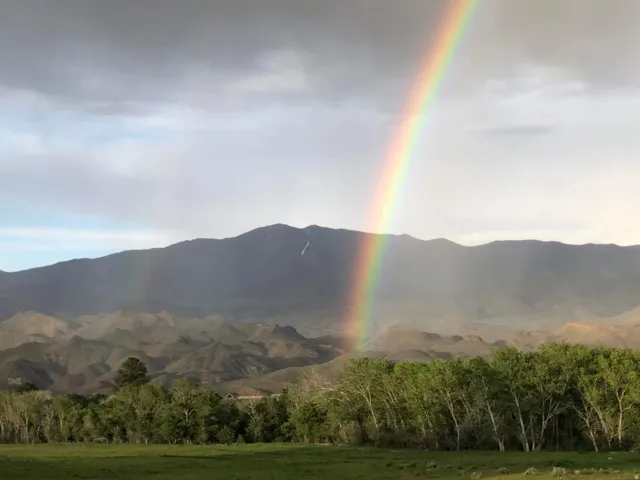 View from property