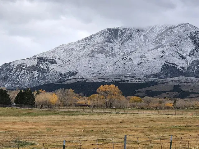 West view in fall