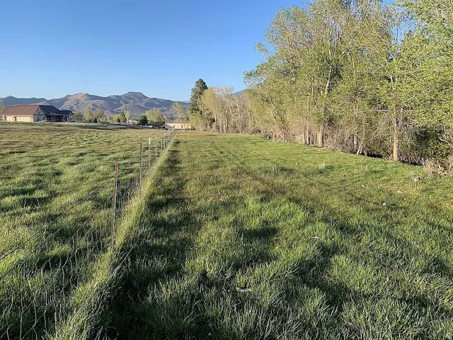 East view from treeline