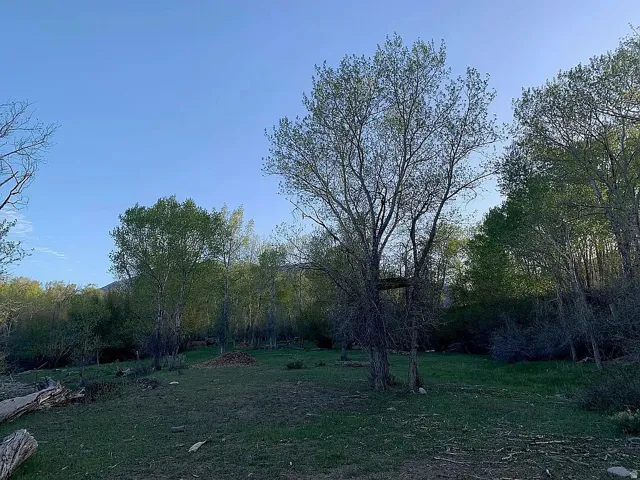 North of creek
