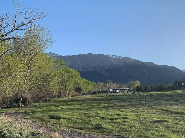 West view at treeline