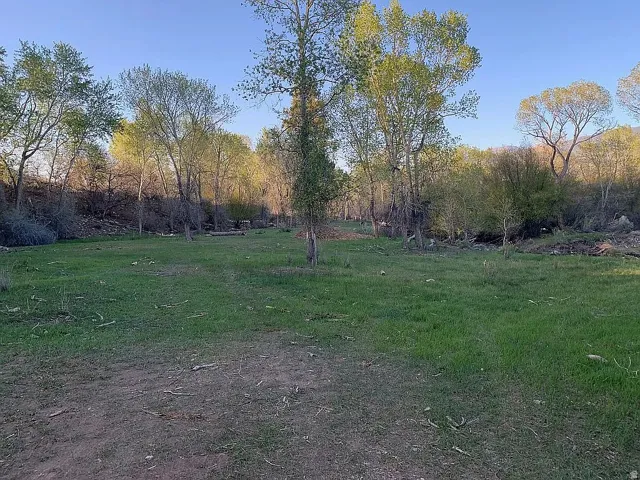 Creek bottom