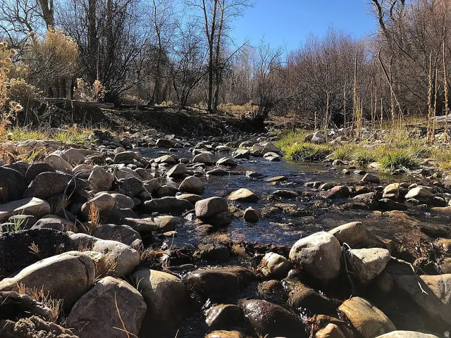 Bullion Creek on South end