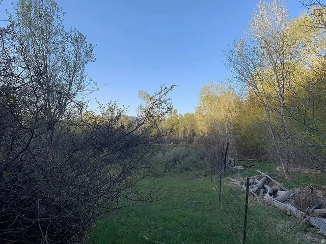 East fence line