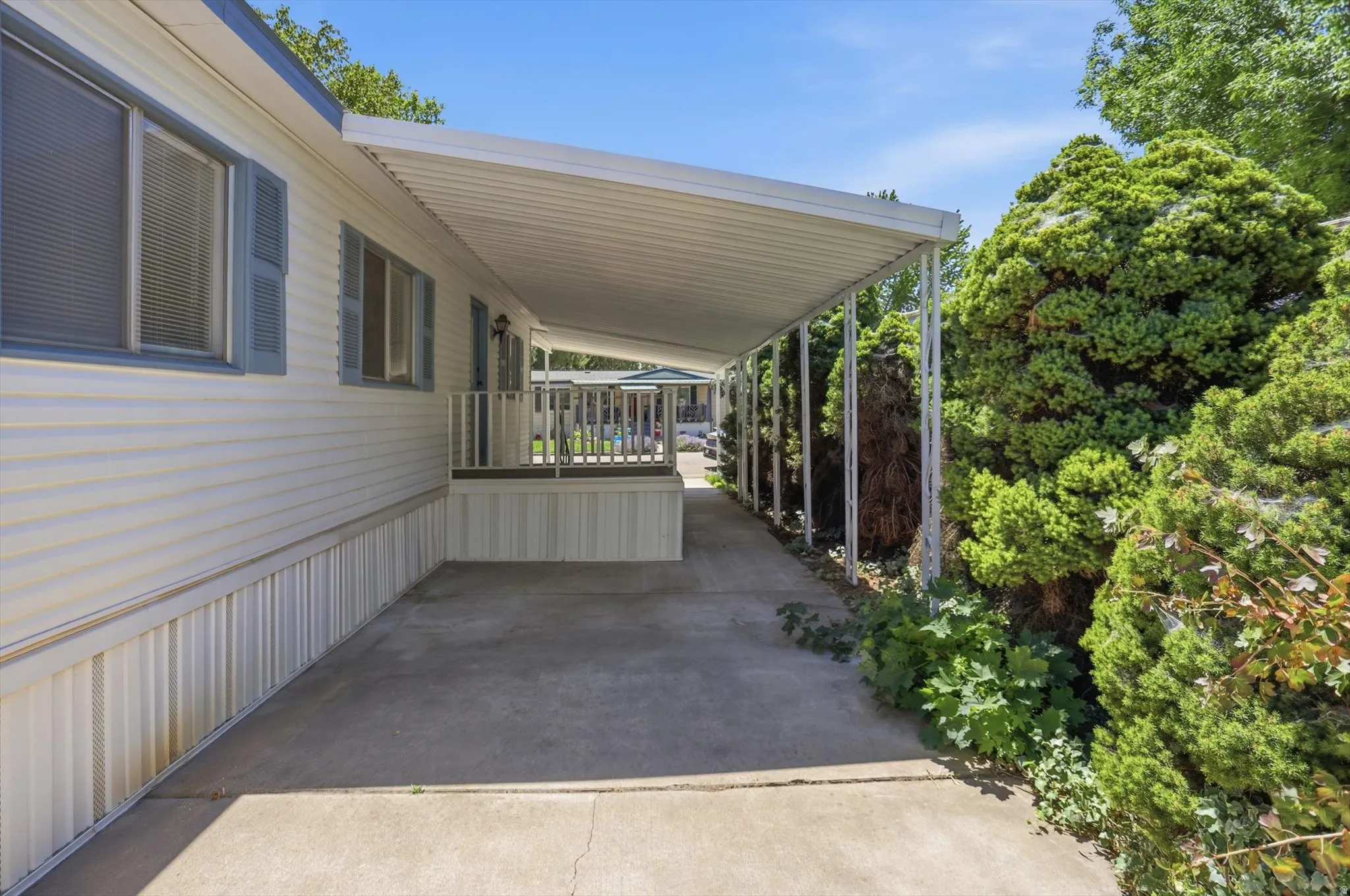 Covered walkway with a concrete surface, white siding, blue window shutters, and established green shrubbery