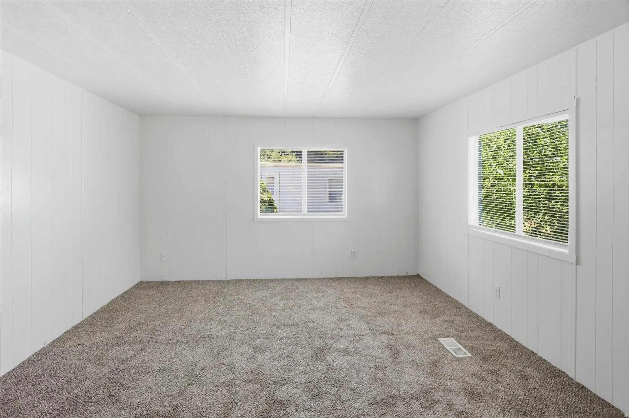 Bright interior space featuring light gray textured carpeting, white paneled walls, and two windows with white blinds