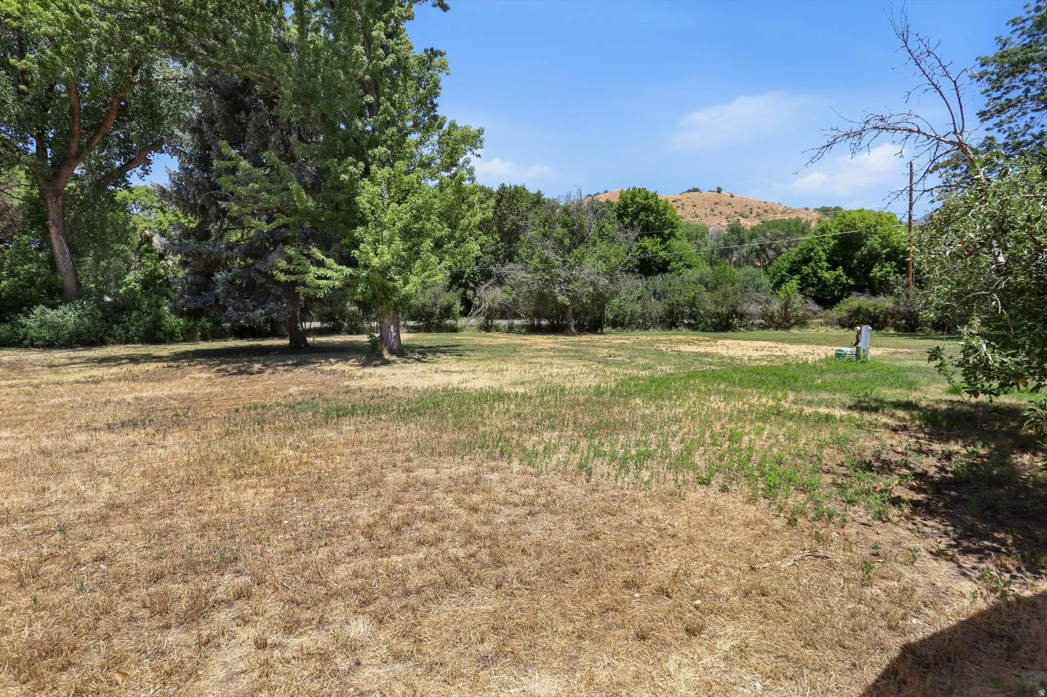 Expansive outdoor space featuring mature trees and a distant hillside