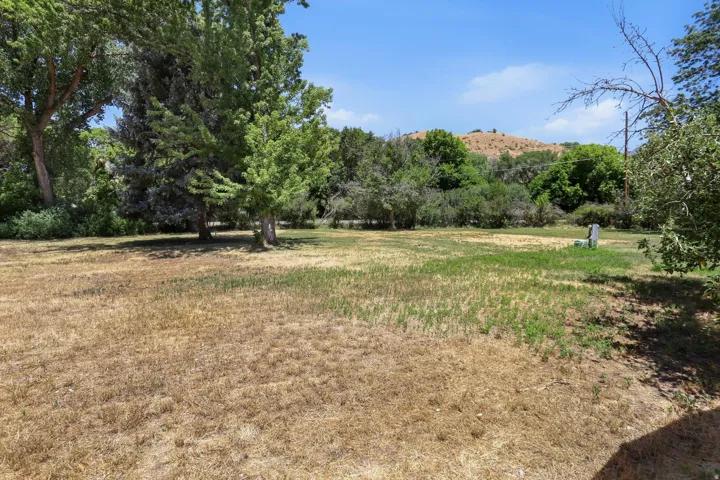 Expansive outdoor space featuring mature trees and a distant hillside