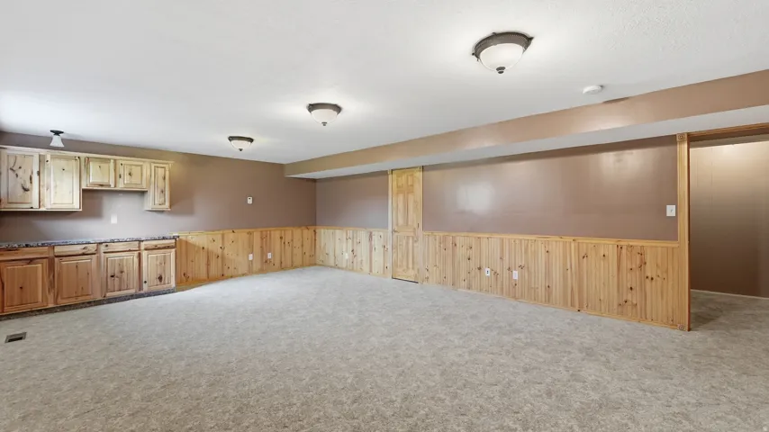 Spacious finished room featuring light gray carpeting, wood paneling, wood cabinetry with stone-finish countertops, and flush-mount lighting fixtures