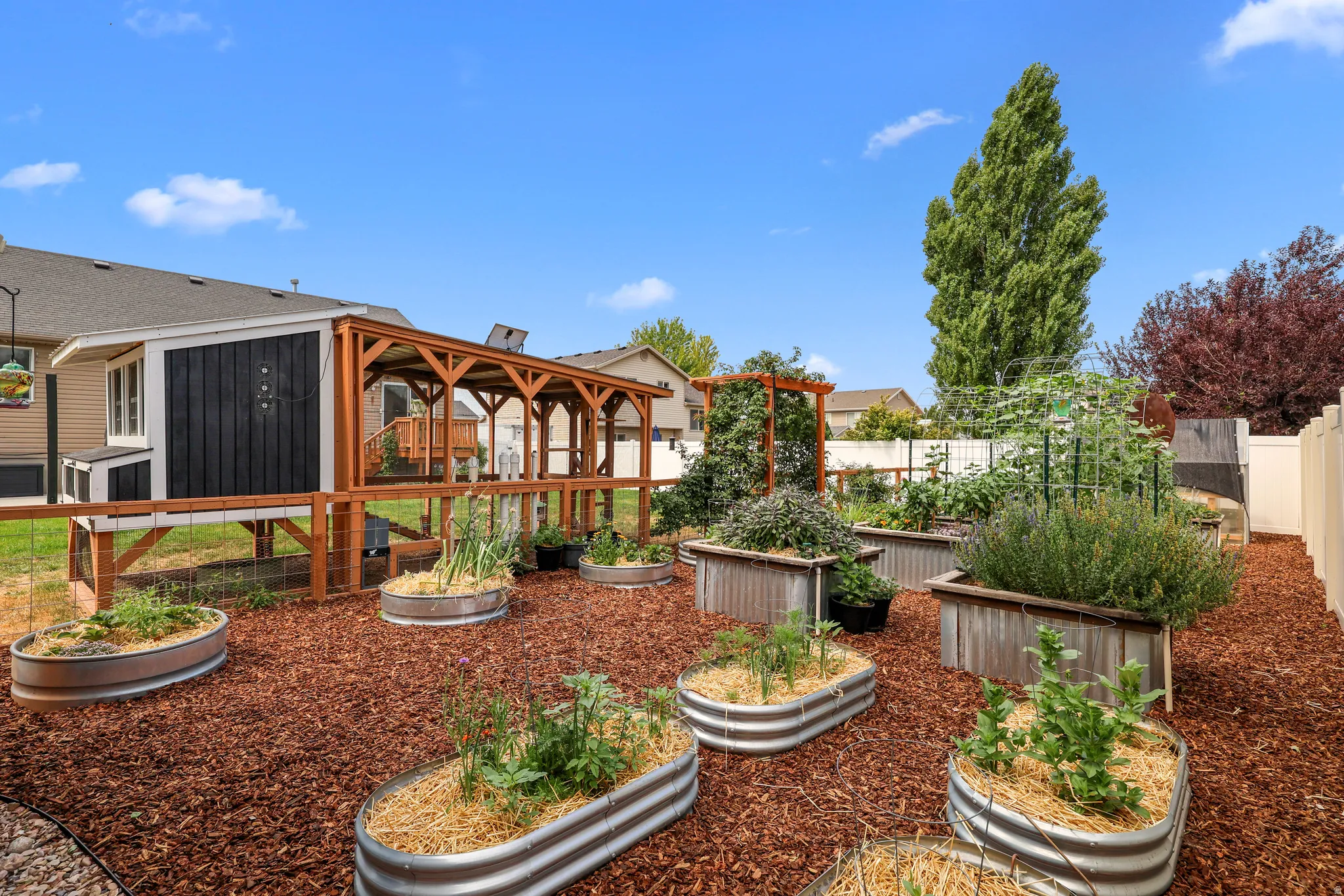 Expansive backyard featuring multiple raised garden beds, a dedicated chicken coop with a covered run, and wood chip ground covering