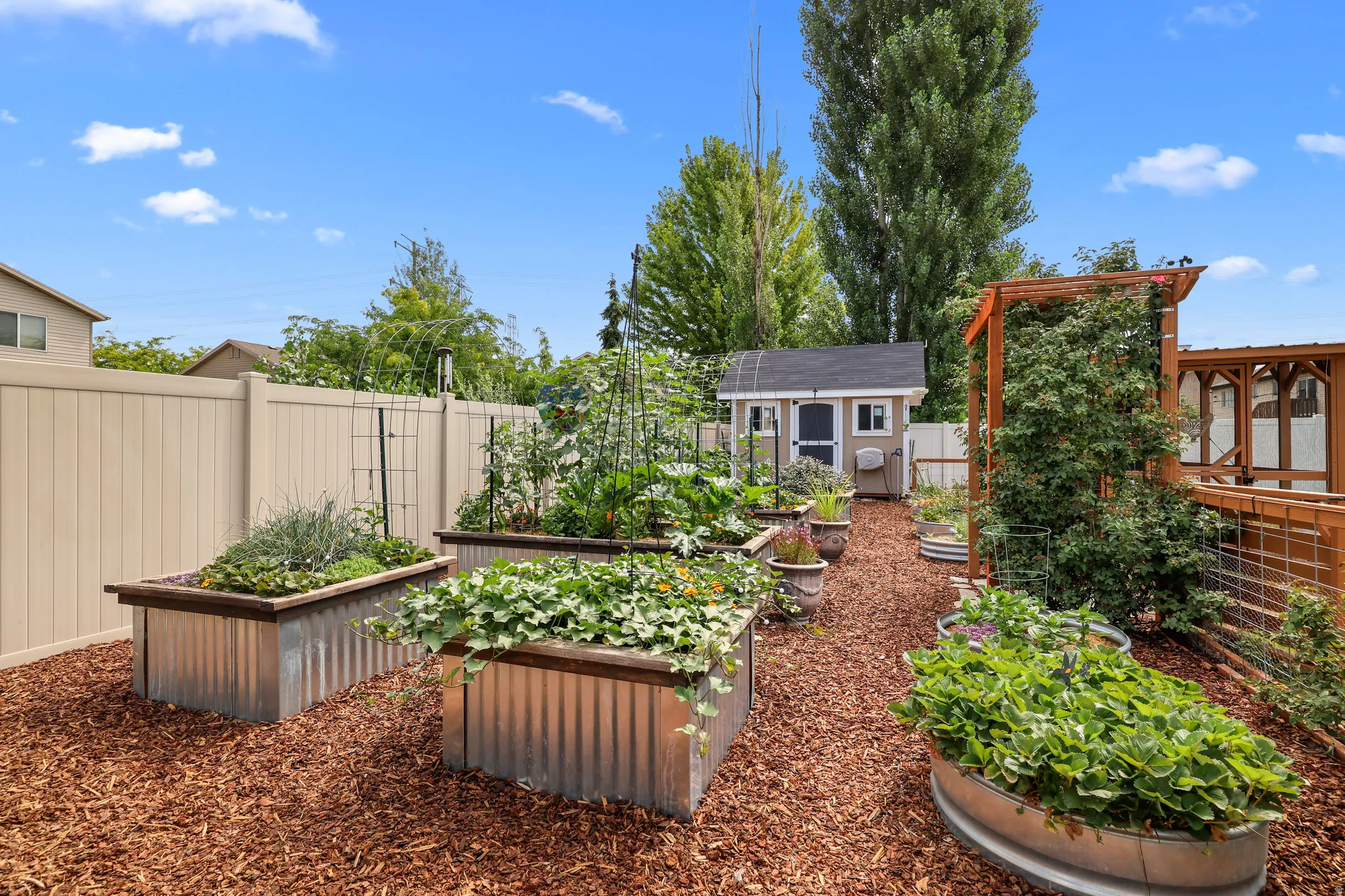 Dedicated garden space featuring multiple raised beds with corrugated metal and wood-finish construction