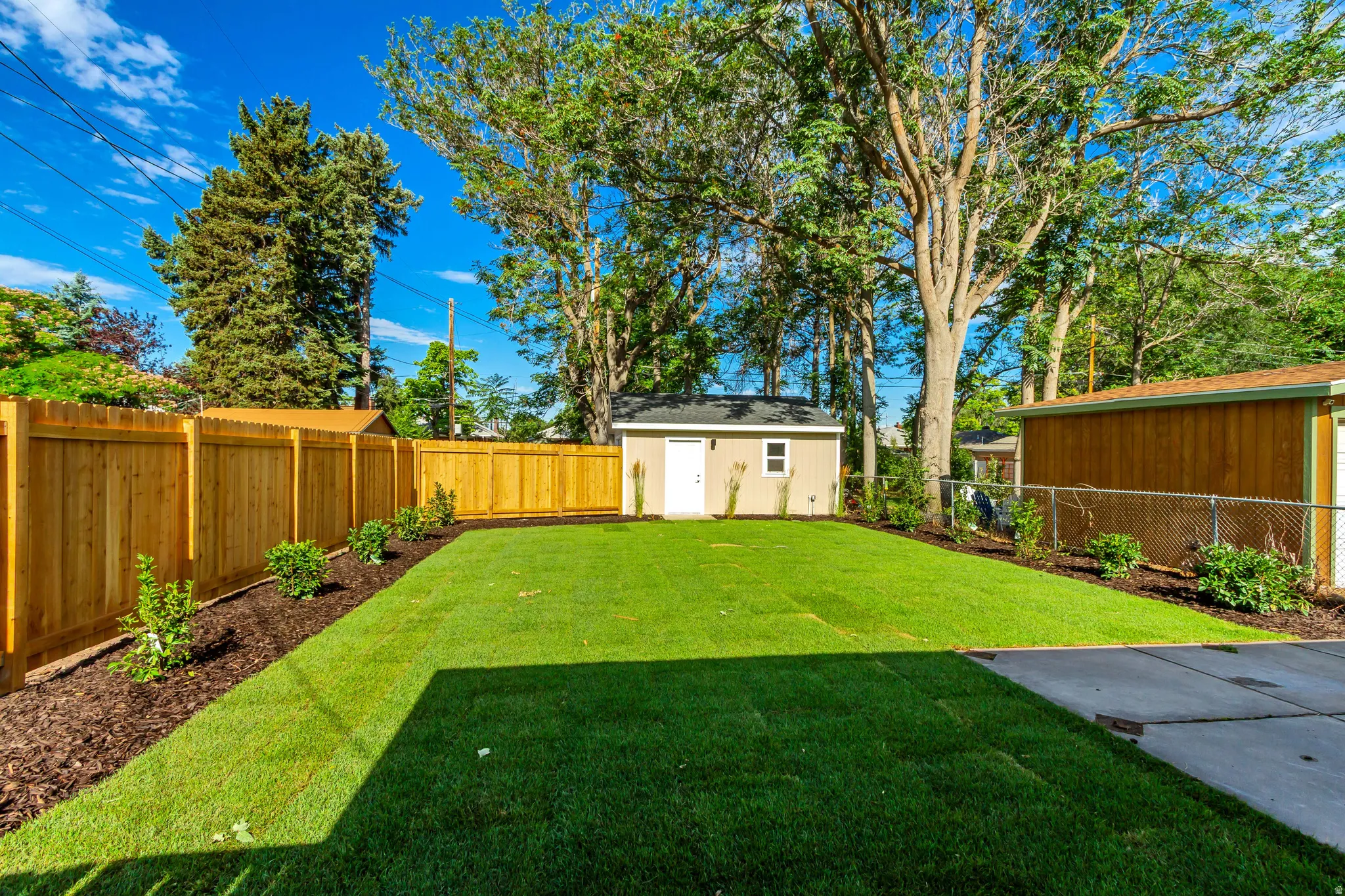 Expansive grassy yard featuring a detached storage shed with a white access door, mature perimeter trees, and a wooden privacy fence