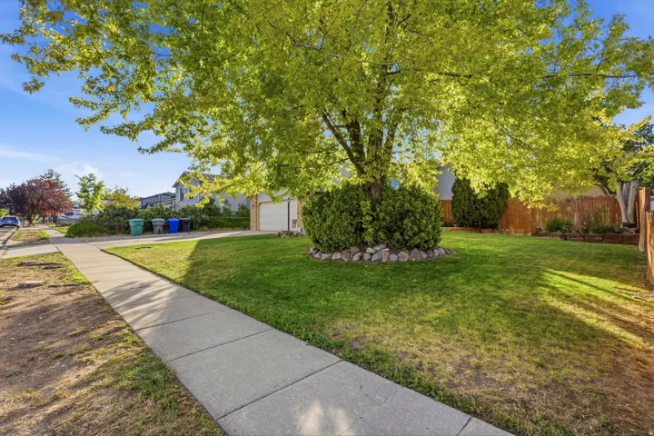Manicured front yard featuring a mature deciduous tree, established shrubbery, and a stone-edged planting bed
