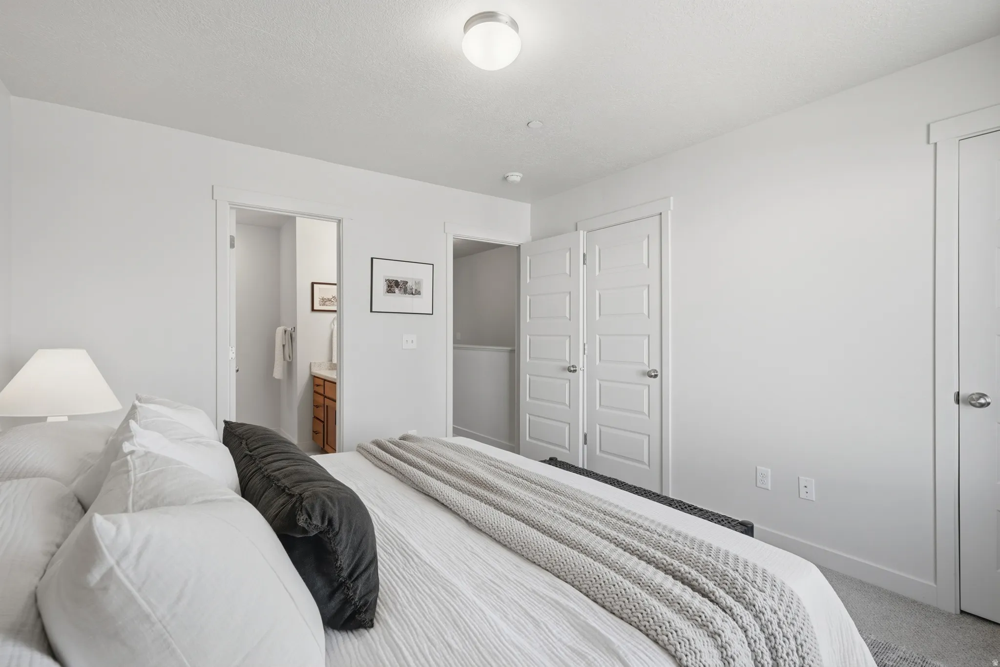 Bright bedroom featuring light gray carpeting and white walls