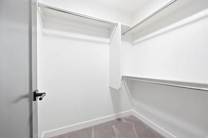Walk-in closet featuring white walls, white trim, gray carpet flooring, and multiple chrome hanging rods