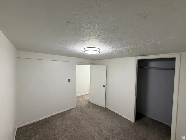 Neutral wall paint, textured ceiling, flush-mount ceiling light, gray carpet, and a closet with a hanging rod