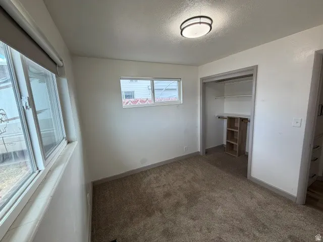 Carpeted flooring, recessed lighting fixture, double-paned window, built-in closet shelving, and a built-in closet organizer