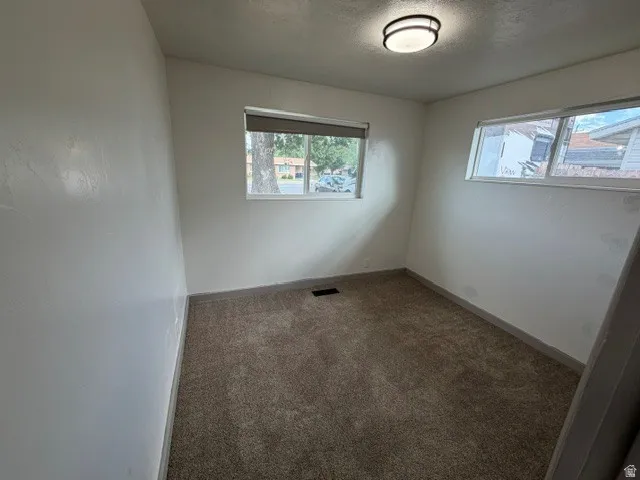 Carpeted flooring, two windows with roller shades, and a flush mount ceiling light fixture