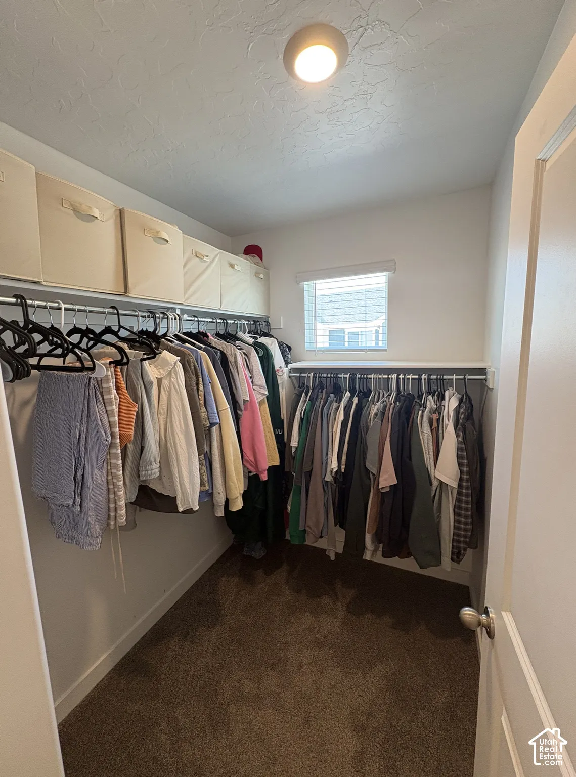 Walk-in closet featuring carpet flooring, natural light from a window, overhead lighting, and ample hanging storage