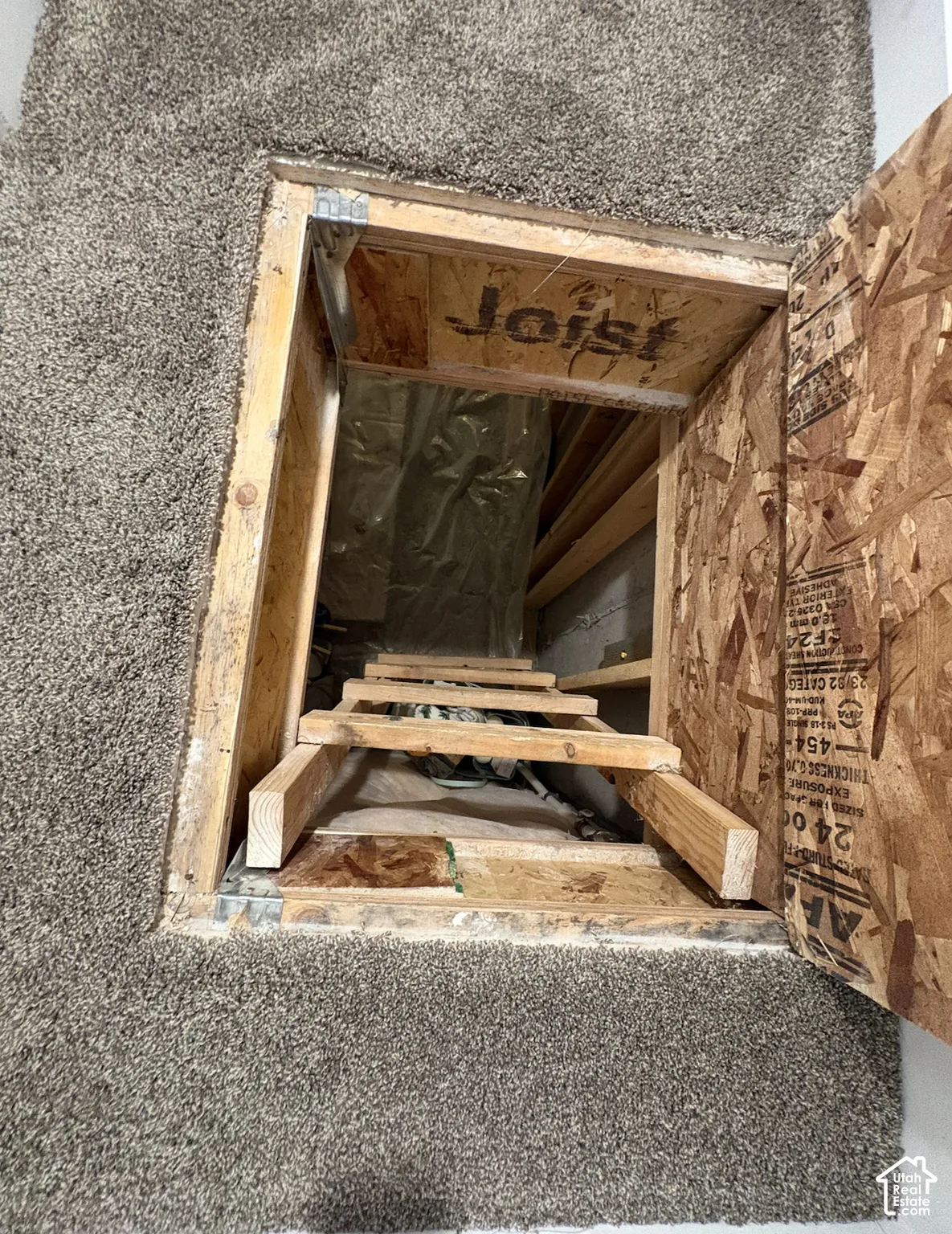 Carpeted floor opening to a utility space below with wooden steps and OSB paneling