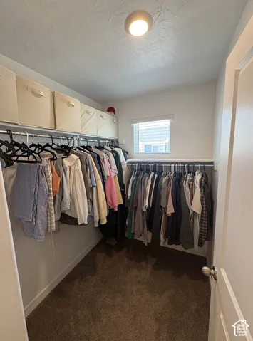 Walk-in closet featuring carpet flooring, natural light from a window, overhead lighting, and ample hanging storage