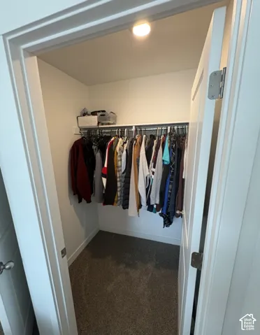 Recessed closet with integrated shelving, hanging rod, and ceiling-mounted light fixture