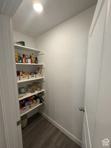 Pantry featuring wood-finish flooring, recessed lighting, and built-in shelving