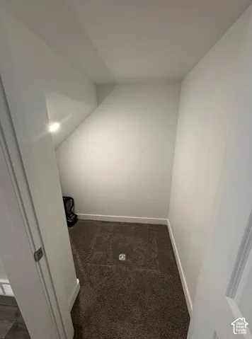 Carpeted under-stair storage area featuring white painted walls and baseboards