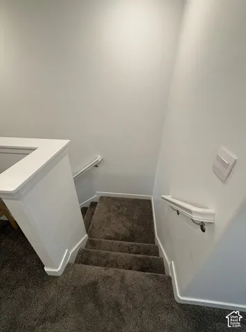 Carpeted staircase featuring white handrails and a matching white half-wall railing